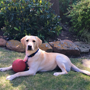 Fundraising Page: Judy Eastburn